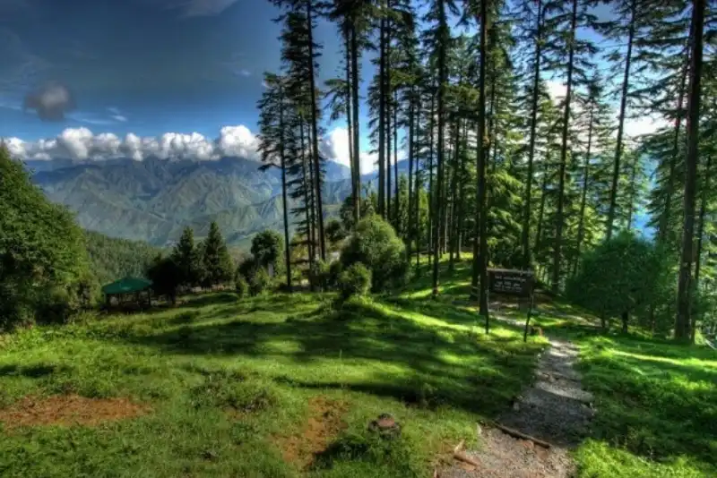 Benog Wildlife Sanctuary - Nature's Haven