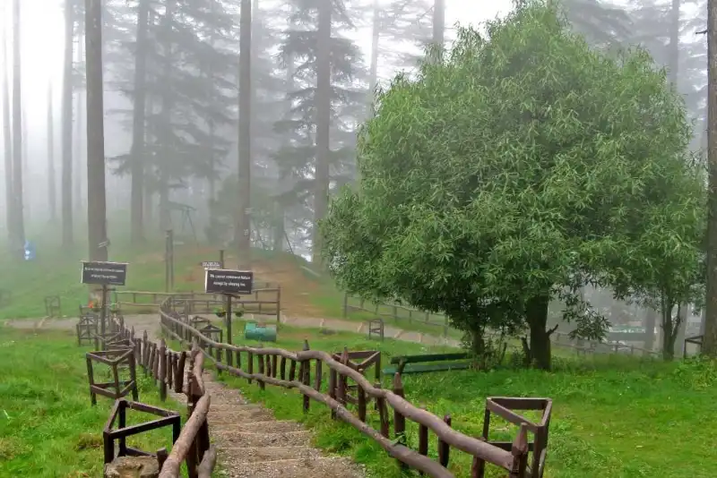 Dhanaulti Eco Park