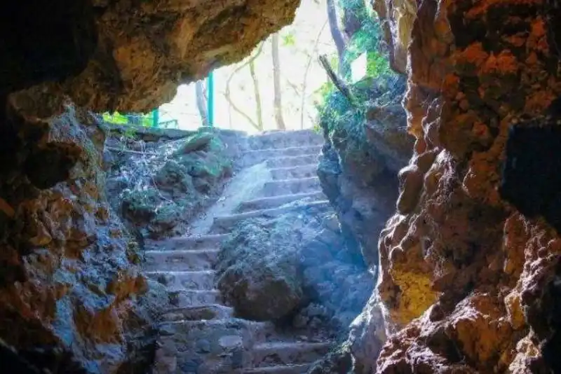 Eco Cave Gardens
