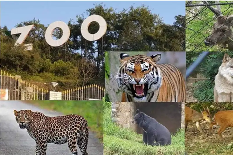 Nainital Zoo