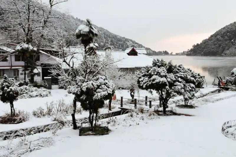 Snow View Point